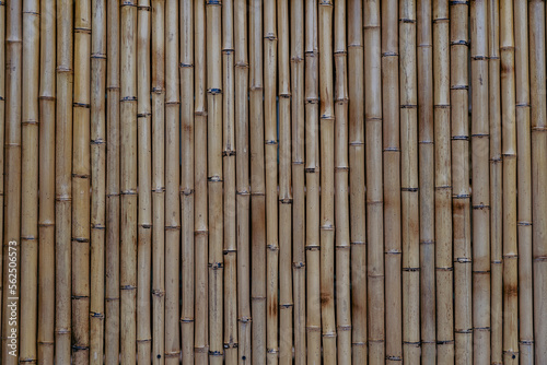 Bamboo fence or wall texture background for interior or exterior design  closeup