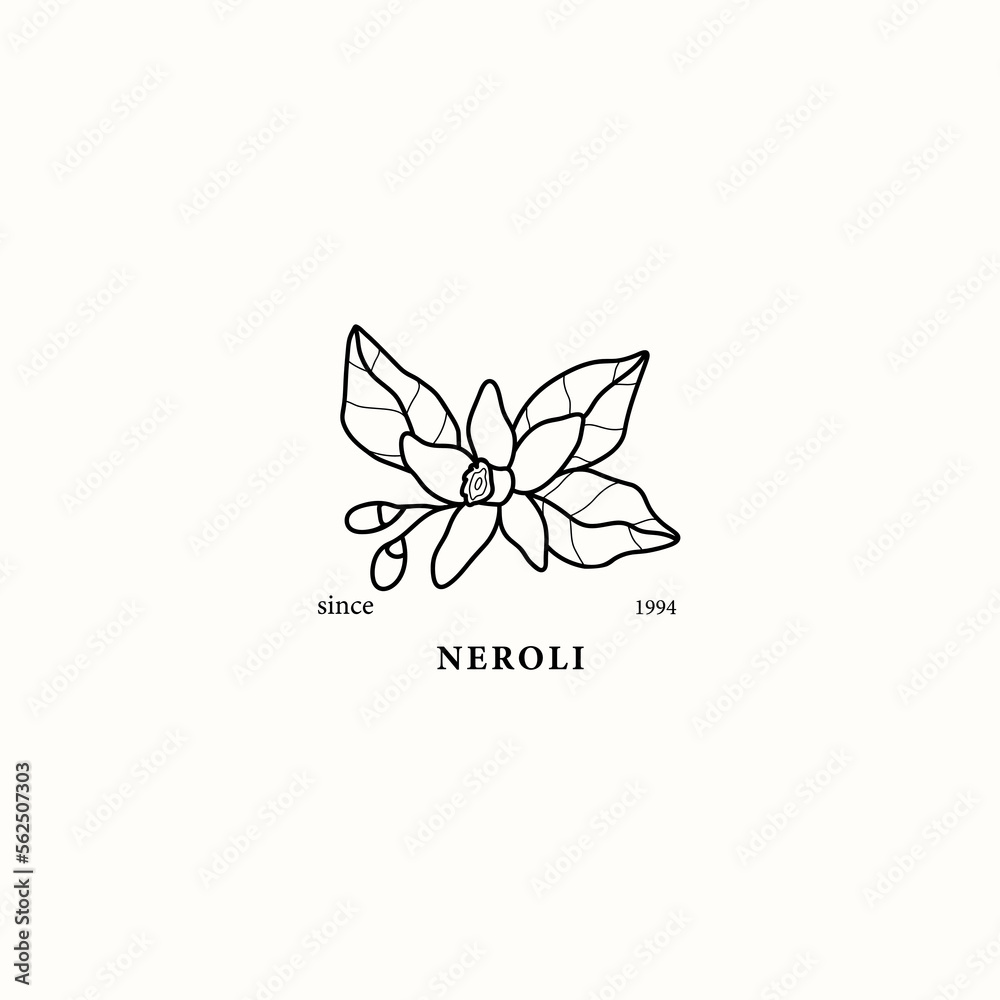 Line art neroli flower illustration Line art neroli flower illustration