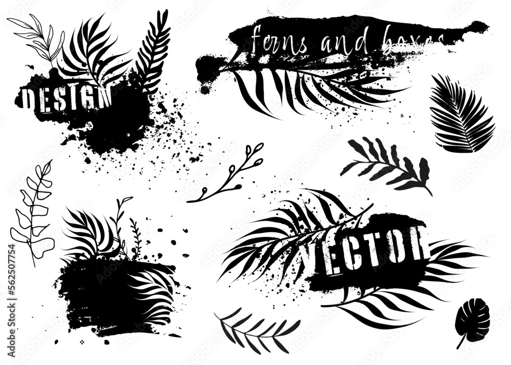 Dirty artistic grunge vector texture with ferns. Design elements, boxes and frames for text. Inked splatter dirt stain brushes with drops blots. Dirty grunge elements and spray graffiti stencil. Dirty artistic grunge vector texture with ferns. Design elements, boxes and frames for text. Inked splatter dirt stain brushes with drops blots. Dirty grunge elements and spray graffiti stencil.