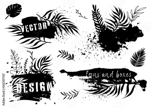 Dirty grunge elements and spray graffiti stencil. Design elements, boxes and frames for text. Dirty artistic grunge vector texture with ferns. Inked splatter dirt stain brushes with drops blots.