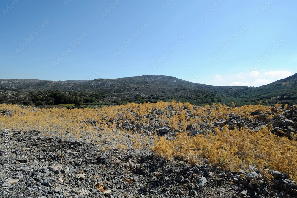Le plateau du Stroumpoulas près d'Héraklion en Crète Le plateau du Stroumpoulas près d'Héraklion en Crète
