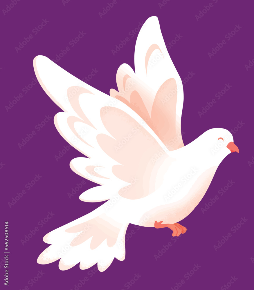 White flying dove vector illustration clipart White flying dove vector illustration clipart
