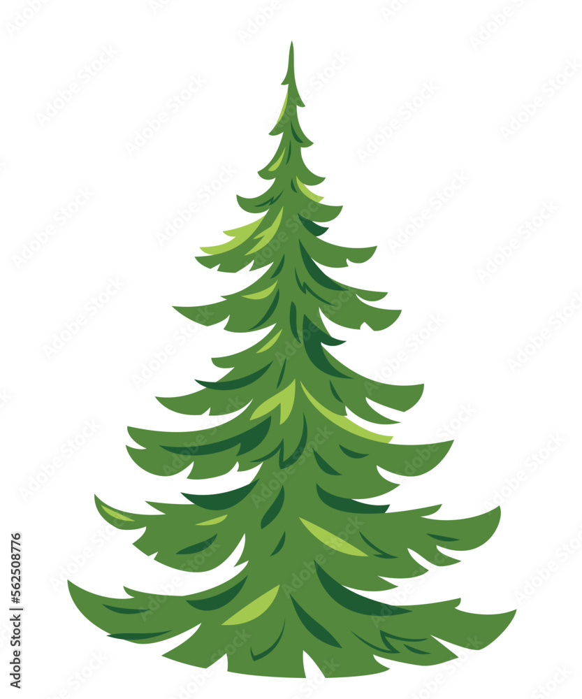 One green young spruce tree illustration in a simple colors, young conifer plant in side view isolated One green young spruce tree illustration in a simple colors, young conifer plant in side view isolated