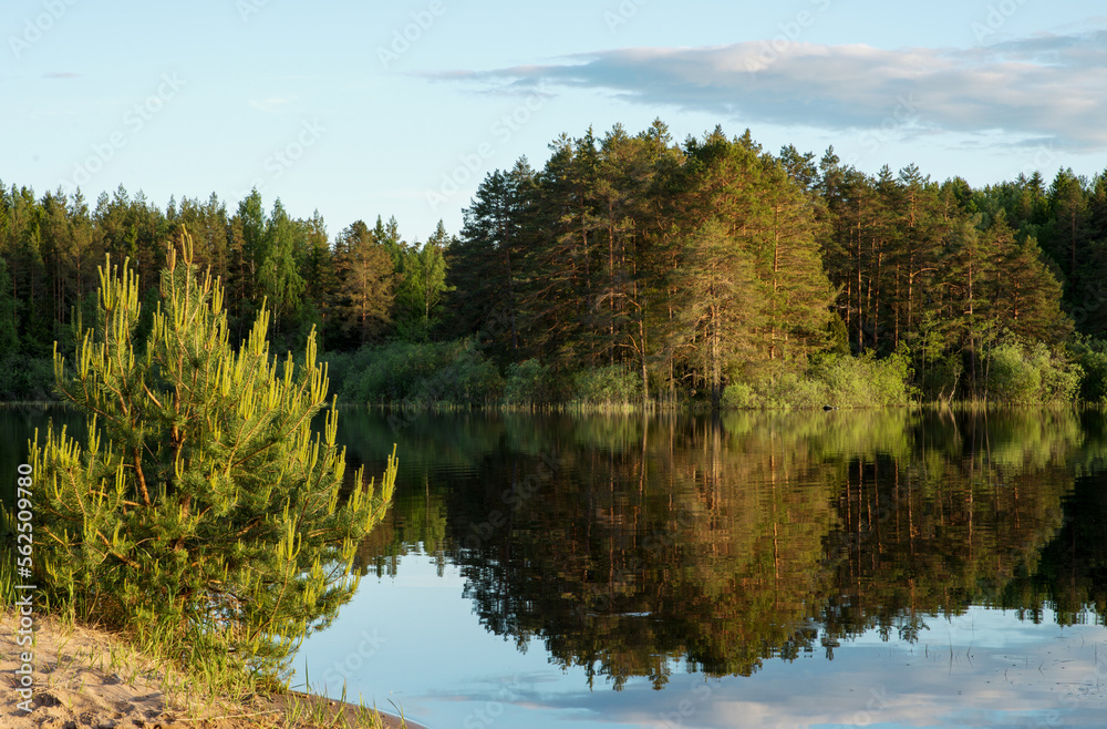 Fototapeta premium River landscape in autumn. Farnebofjarden national park in north of Sweden.