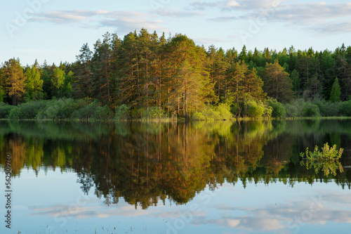 River landscape in autumn. Farnebofjarden national park in north of Sweden.