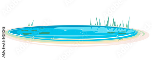 Small oval blue decorative pond with bulrush plants isolated, lake plants nature landscape fishing place