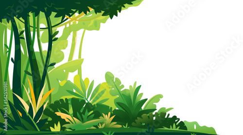 Wild jungle forest with trees, bushes and lianas on white background, decorative composition of jungle plants on one side, dense vegetation of the jungle, beginning of the topical forest