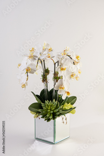 Obraz na płótnie philodendra orchid flower arrangement w salonie