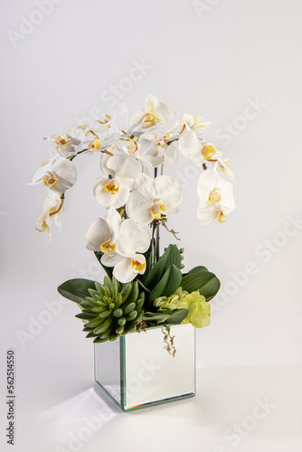 Obraz na płótnie philodendra orchid flower arrangement w salonie
