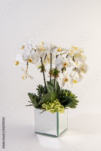 Obraz na płótnie philodendra orchid flower arrangement w salonie