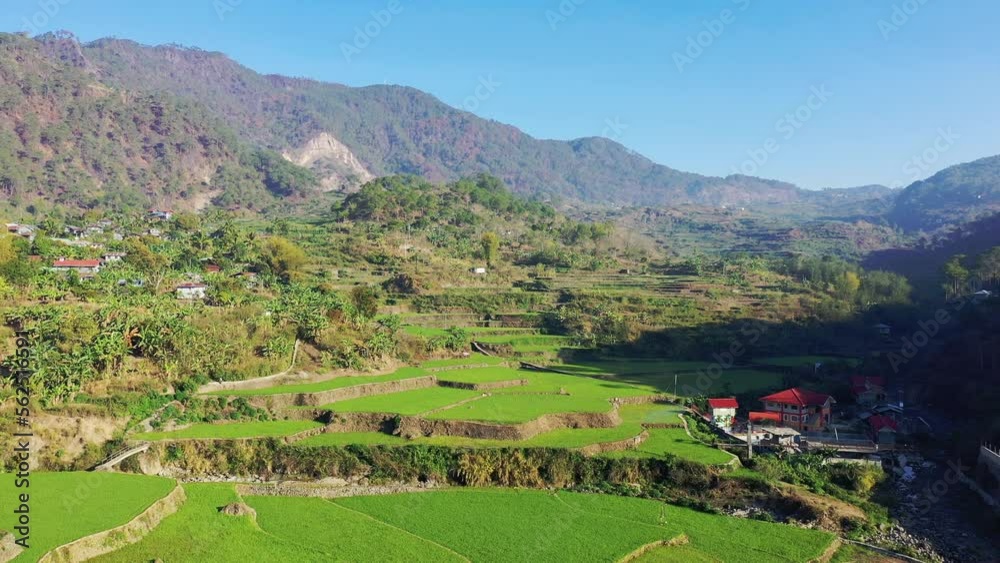 The green rice terraces in the middle of the mountains, in Asia, Philippines, Ifugao, Luzon, towards Banaue, Bontoc and Sagada, in summer, on a sunny day. The green rice terraces in the middle of the mountains, in Asia, Philippines, Ifugao, Luzon, towards Banaue, Bontoc and Sagada, in summer, on a sunny day.