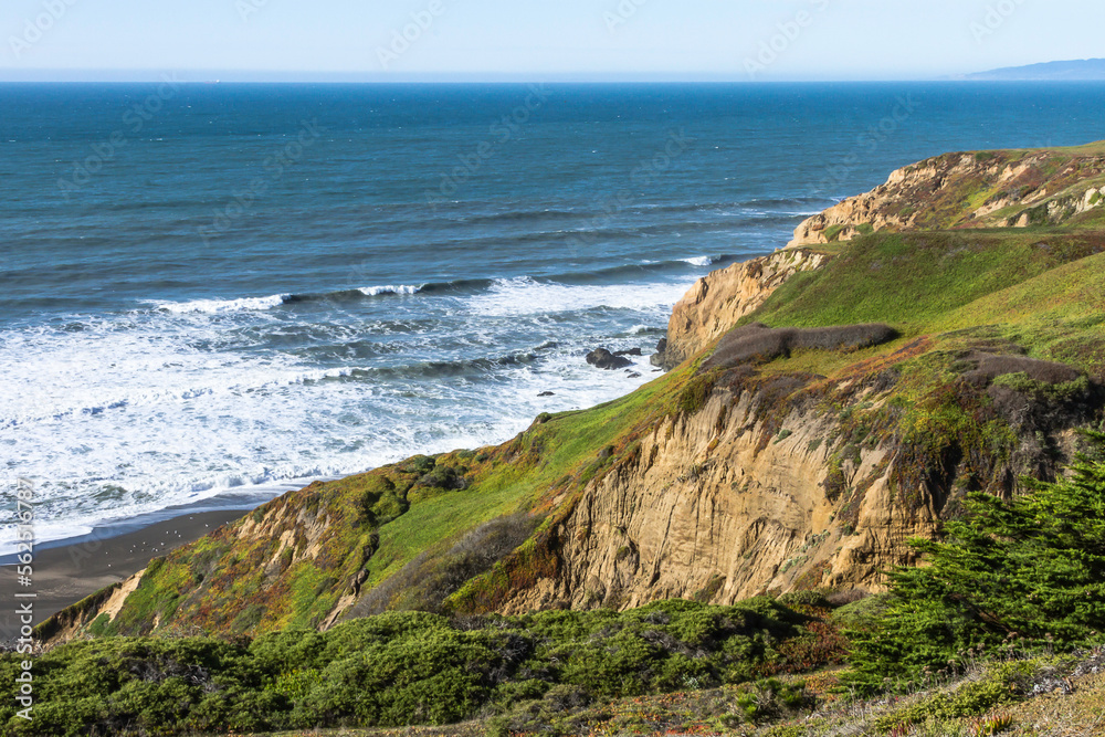 San Francisco Bay Mussel Rock