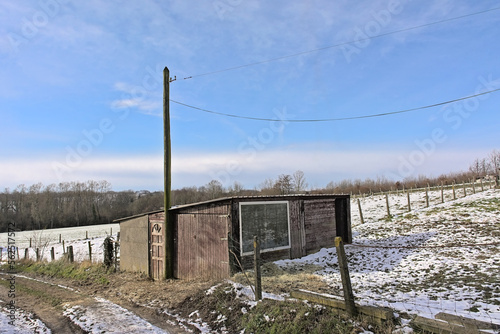 Wooden shack in a meadow covered in snow  on a sunny day in the woods of Munkzwalm, Flanders, Belgium photo