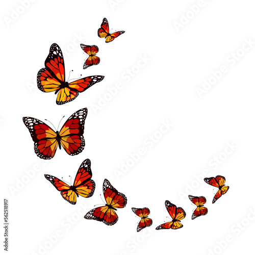 Vector image of a frame of black monarch butterflies with red, orange, yellow and white spots, on a white background. Graphic design.