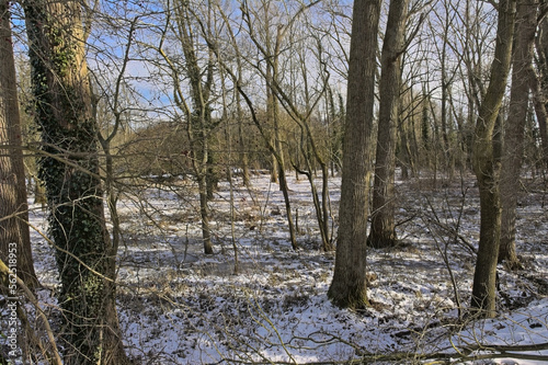 forest and fields with snow in the hills of Munkzwalm, Flanders, Belgium © Kristof Lauwers