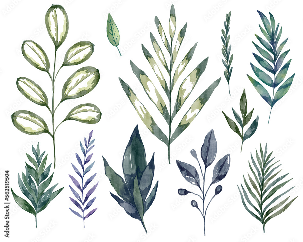 Set of tropical watercolor leaves. Collection of palm leaf, fern, herb, ficus, plant. Hand drawn floral design elements isolated on transparent background