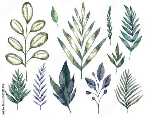Fototapeta Naklejka Na Ścianę i Meble -  Set of tropical watercolor leaves. Collection of palm leaf, fern, herb, ficus, plant. Hand drawn floral design elements isolated on transparent background