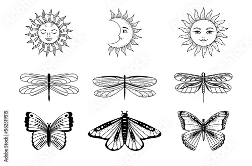 Boho vector collection of magic line art. Dragonfly, butterfly, moon and sun. Vector illustration.