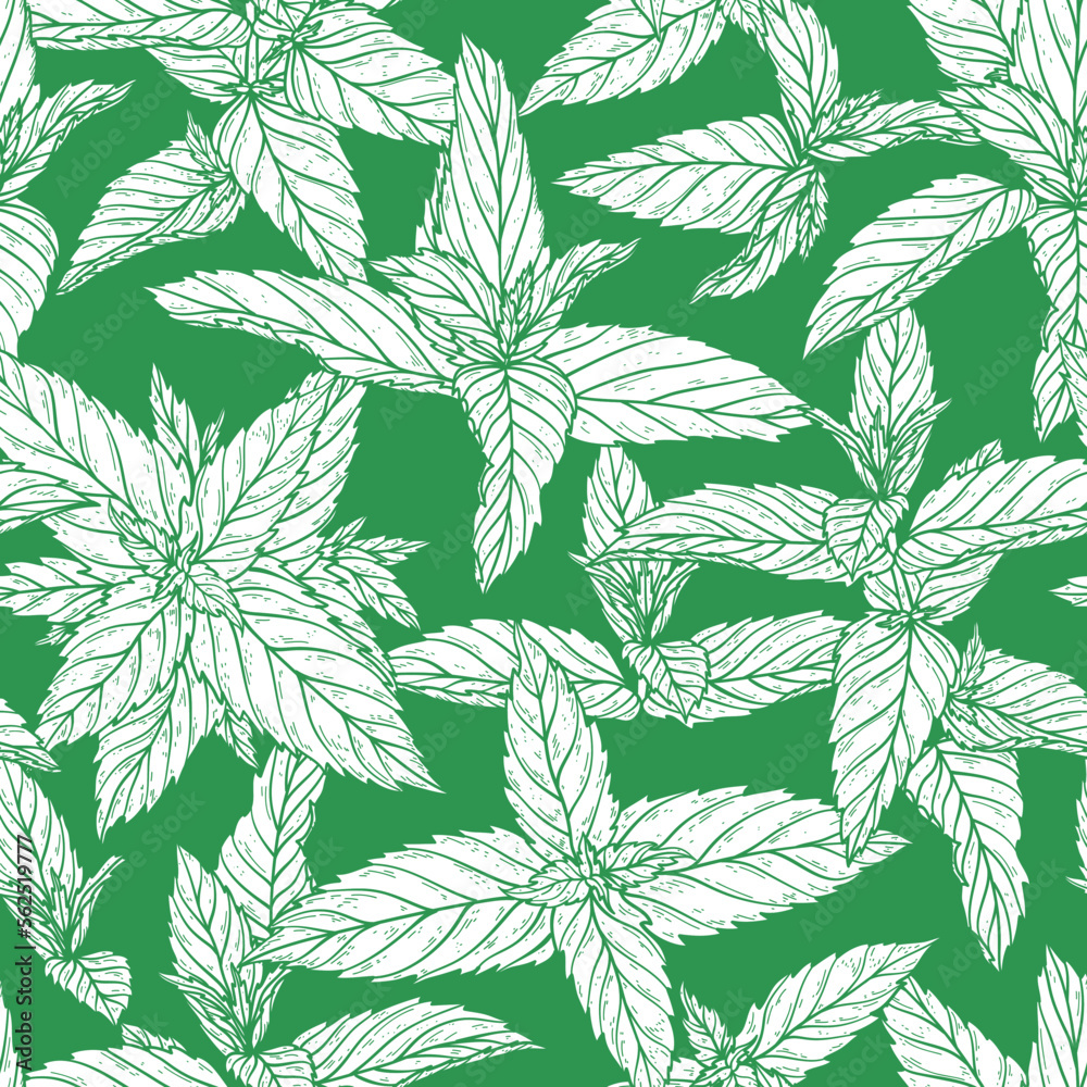 Peppermint Leaves Seamless Pattern. Green Floral Background with Hand Drawn Fresh Mint Leaf. Medicinal Plants or Spicy Herbs Vector illustration.