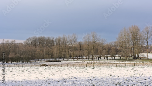 Wallpaper Mural Meadows covered in snow and bare trees on a sunny day in Flemish Ardennes Munkzwalm, Flanders, Belgium  Torontodigital.ca