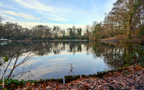 One of the Keston Ponds on Keston Common near the village of Keston in Kent, UK. A cold winter scene with red leaves in the foreground.