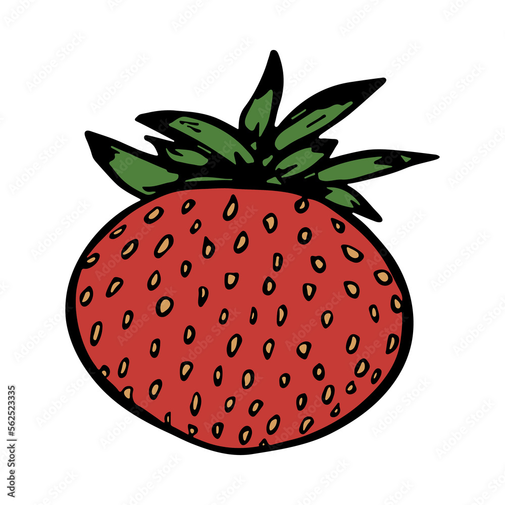Obraz premium Vector strawberry clipart. Hand drawn berry icon. Fruit illustration. For print, web, design, decor