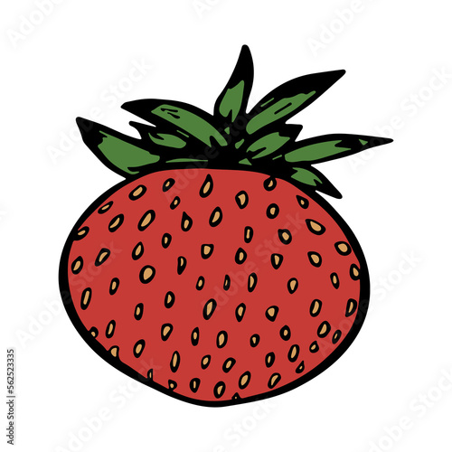Vector strawberry clipart. Hand drawn berry icon. Fruit illustration. For print, web, design, decor