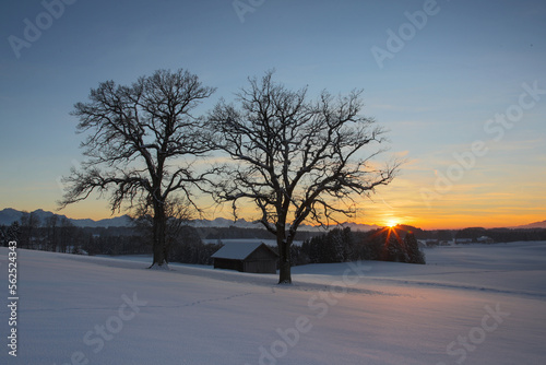 Sonnenuntergang im Voralpenland © holgman1