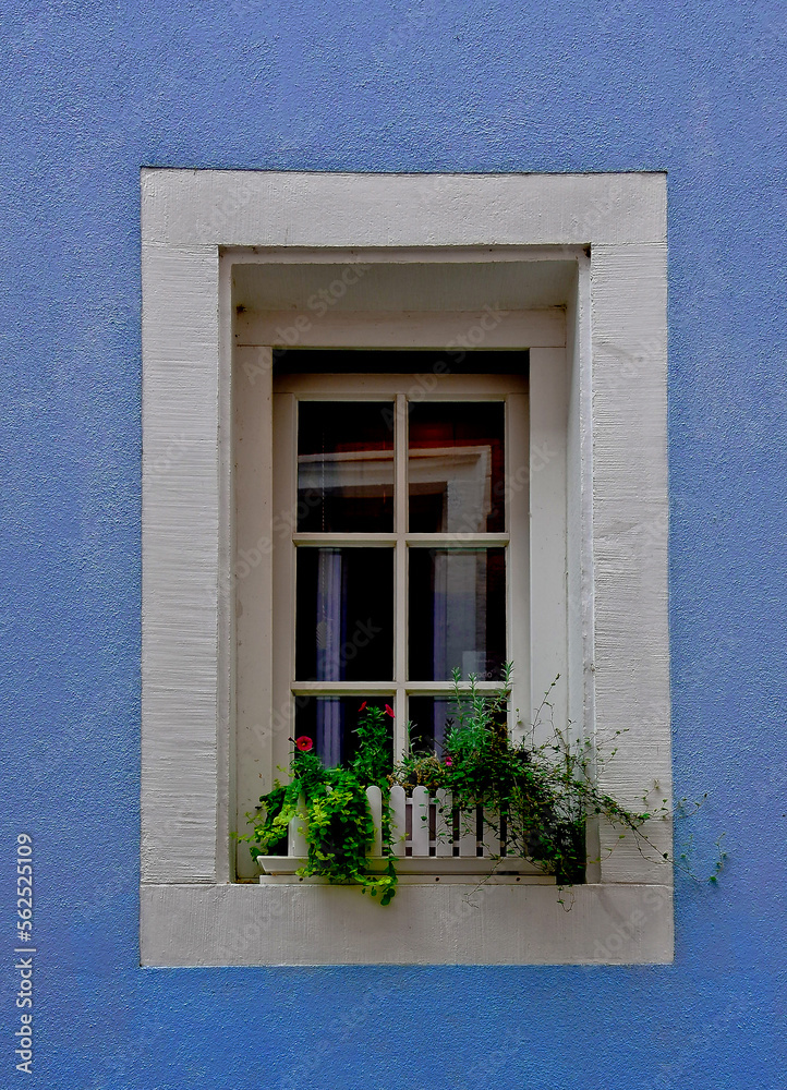 window, view, architecture, flowers on the window, blue, glass, summer, breeze, spring