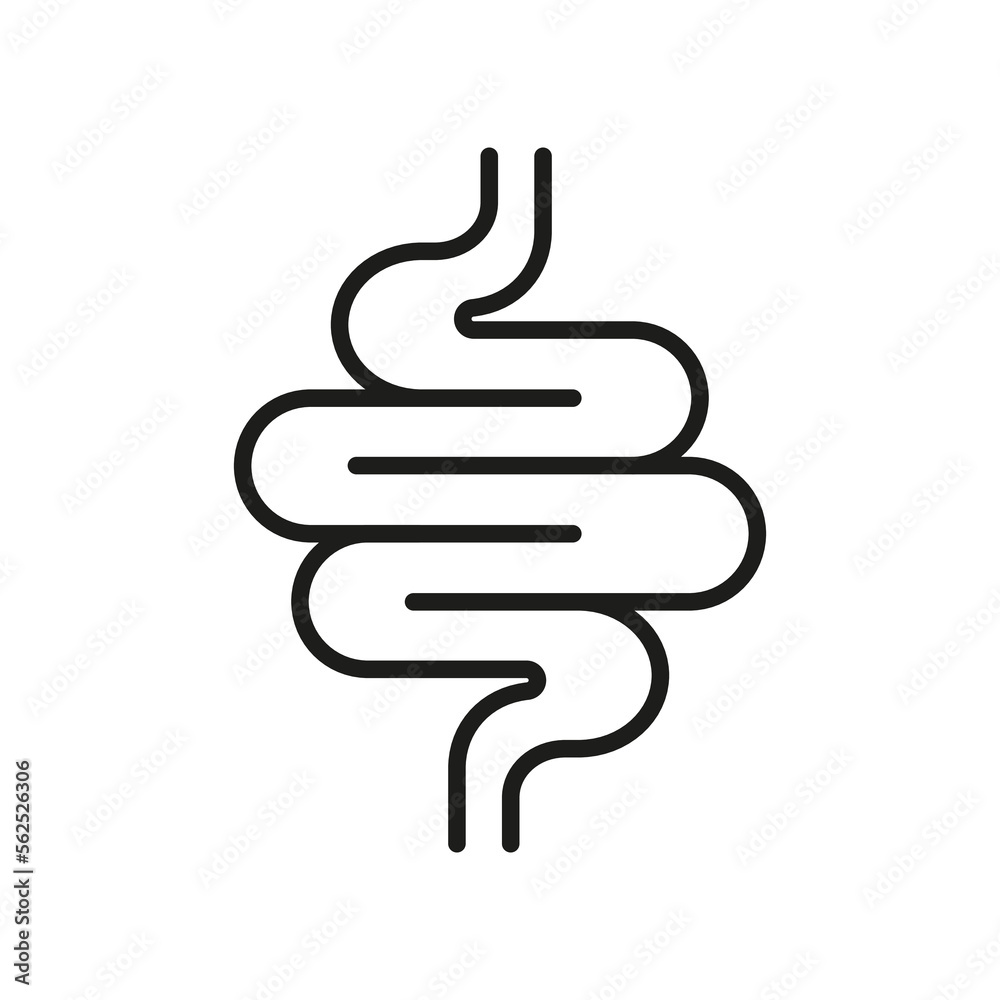 Intestine Line Icon. Health Colon Linear Pictogram. Small Gut, Bowel Outline Icon. Healthy Human Digestive System. Gastrointestinal Inflammation. Editable Stroke. Isolated Vector Illustration Intestine Line Icon. Health Colon Linear Pictogram. Small Gut, Bowel Outline Icon. Healthy Human Digestive System. Gastrointestinal Inflammation. Editable Stroke. Isolated Vector Illustration