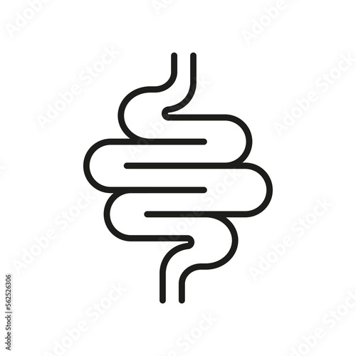 Intestine Line Icon. Health Colon Linear Pictogram. Small Gut, Bowel Outline Icon. Healthy Human Digestive System. Gastrointestinal Inflammation. Editable Stroke. Isolated Vector Illustration