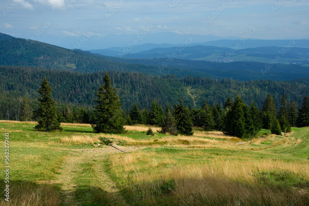 Beskid Żywiecki - widok z Hali Rysianki