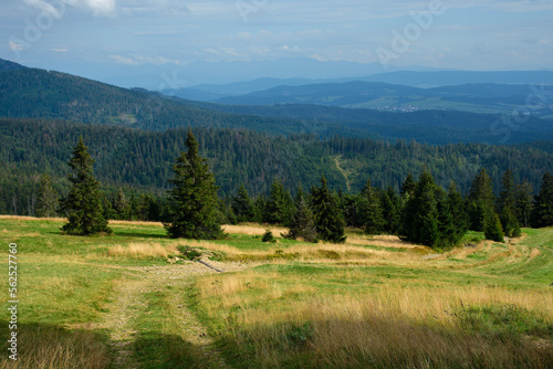 Obraz na płótnie Beskid Żywiecki - widok z Hali Rysianki w salonie