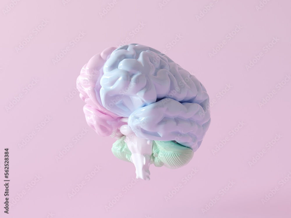 3D brain rendering illustration with left and right function and ...