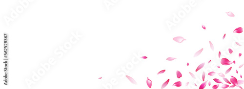 Color Flower Petal Vector Panoramic Background.