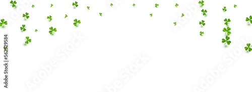 Spring Clover Fly Vector White Panoramic