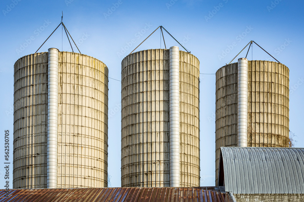 Three large, roofless stave silos with barn roofs and blue sky.
