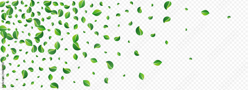 Lime Foliage Swirl Vector Panoramic Transparent