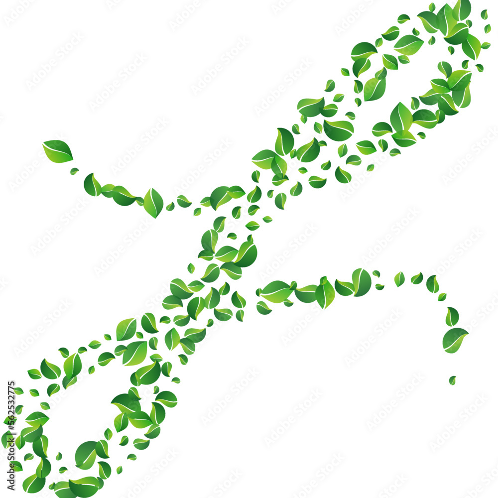 Lime Leaf Tree Vector White Background. Fly Lime Leaf Tree Vector White Background. Fly