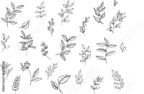 Wallpaper Mural Set of graphic vector plant branches with leaves and flowers. Vector elements for wedding design, logo design, packaging and other ideas Torontodigital.ca