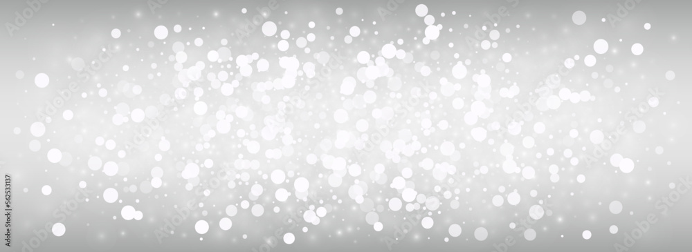 Light Blizzard Vector Silver Panoramic