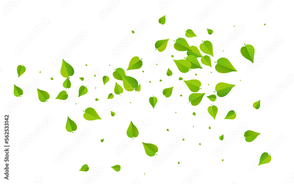 Green Foliage Spring Vector White Background Green Foliage Spring Vector White Background