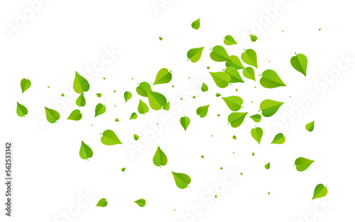 Green Foliage Spring Vector White Background