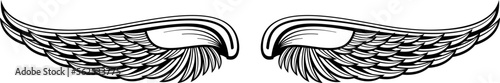 Bird wings insignia. Heraldic emblem. Angel label