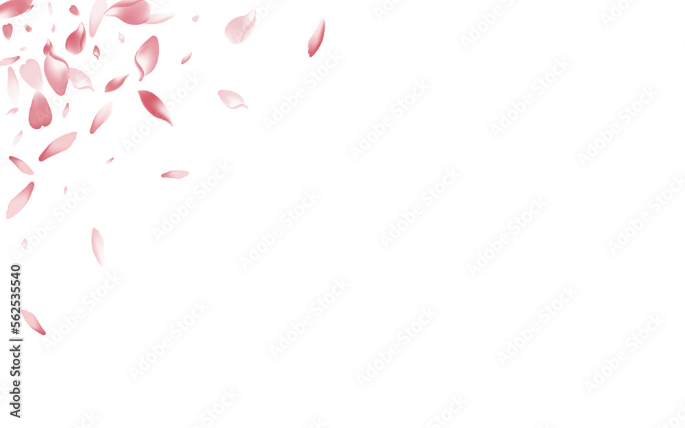 Transparent Peach Petal Vector White Background. Transparent Peach Petal Vector White Background.