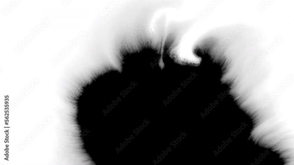 Black ink artistic flow splatter spots spills white paper beautiful reveal dripping streaks spread fluid ink alpha matte isolated watercolor ink drops transition