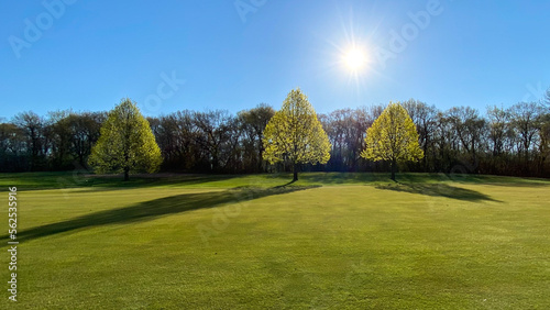 golf course in the sunny morning