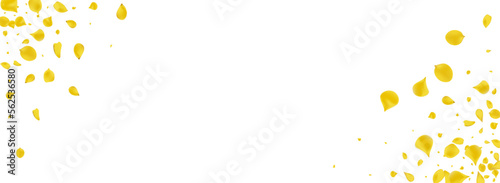 Lemon Peach Blur Vector Panoramic White