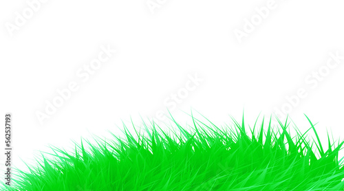Green grass meadow isolated. png
