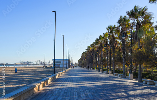 Palm trees at Seafront of Malvarrosa beach. Palm trees near footpath at sea on beach. Walking path at coastline. The Mediterranean sea coas with alley and palms. The Spain beaches. Vacation in Spain.